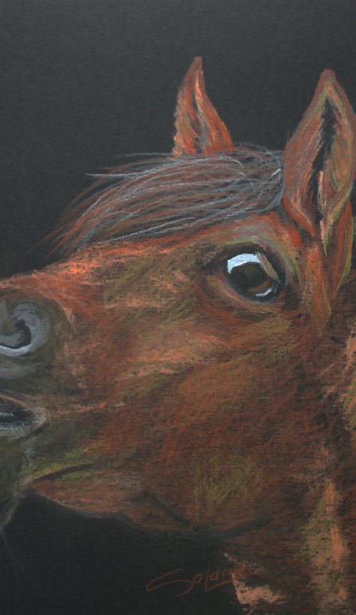 Horse IV / Original Painting by Salana Art Gallery