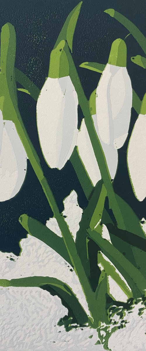 Snowdrops by Joanne Spencer