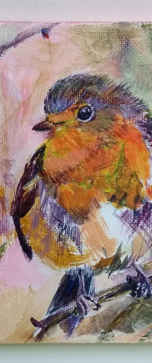 Robin by Anjana Cawdell