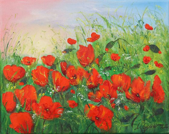 Poppy field in summer 3