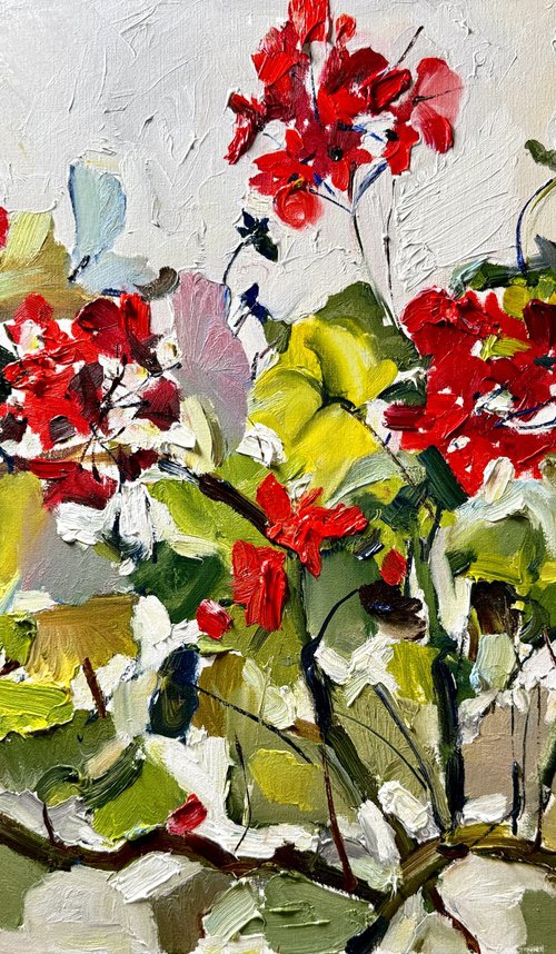 Red geraniums by Olena Hromova
