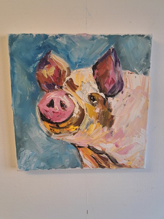 Domestic Piglet