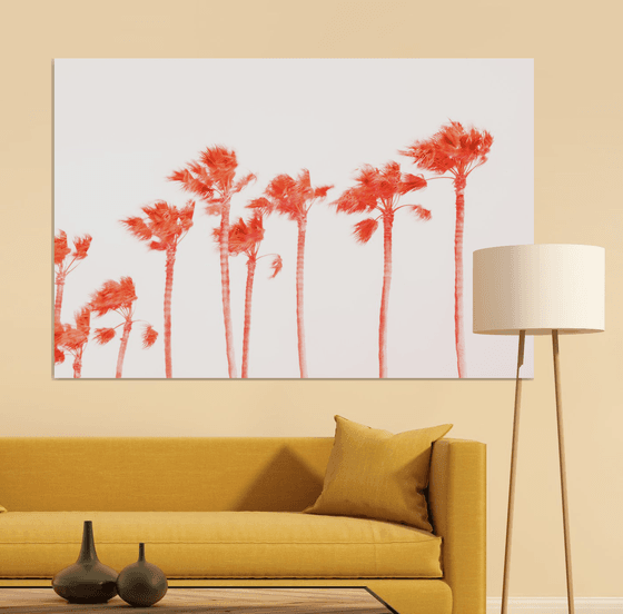 PINK PALMS 2.