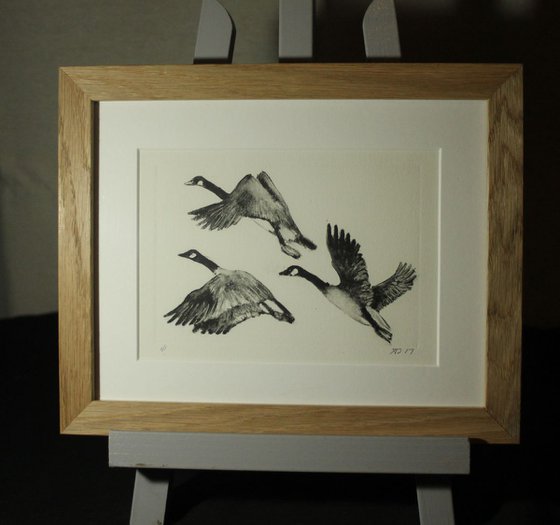 Flying Birds, Geese Monoprint, Monotype Print Framed