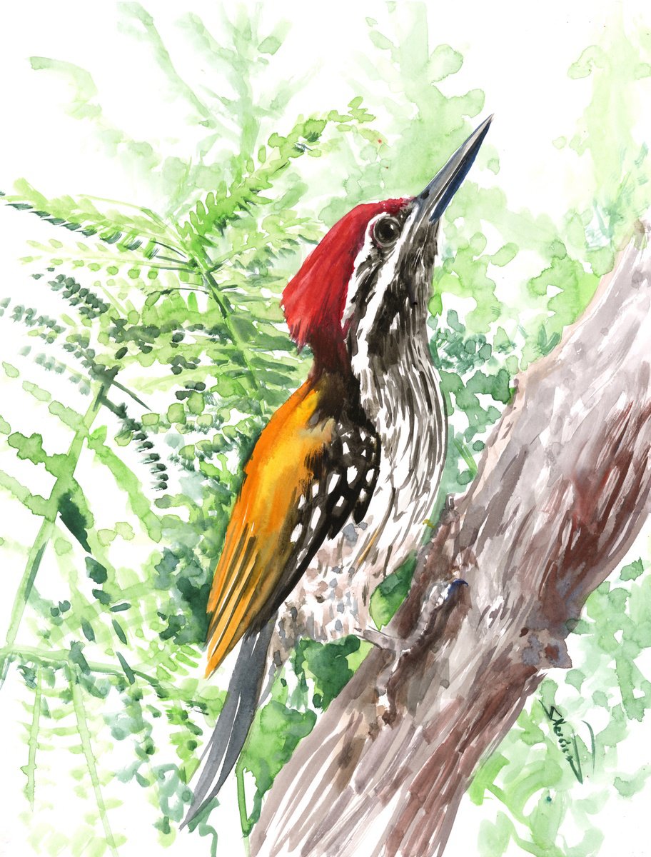black-rumped flameback woodpecker, original watercolor painting by Suren Nersisyan