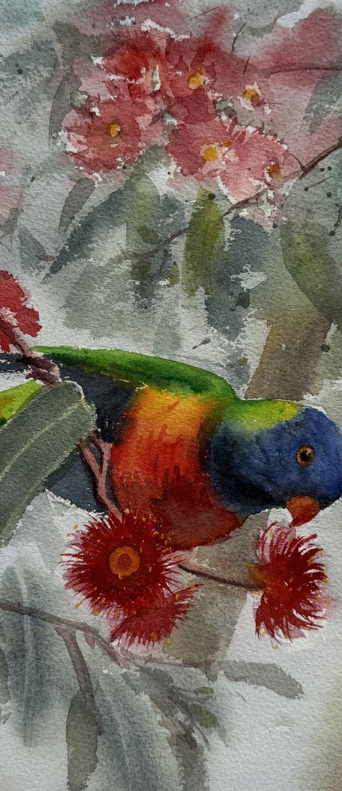 Rainbow lorikeet and gum tree by Shelly Du