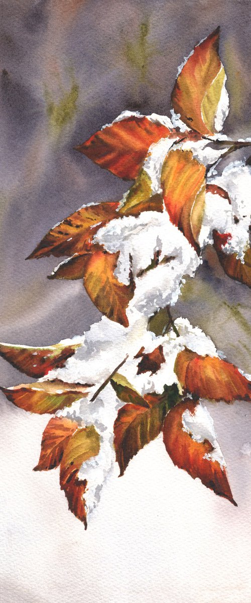 First snow by Maryna Boiko