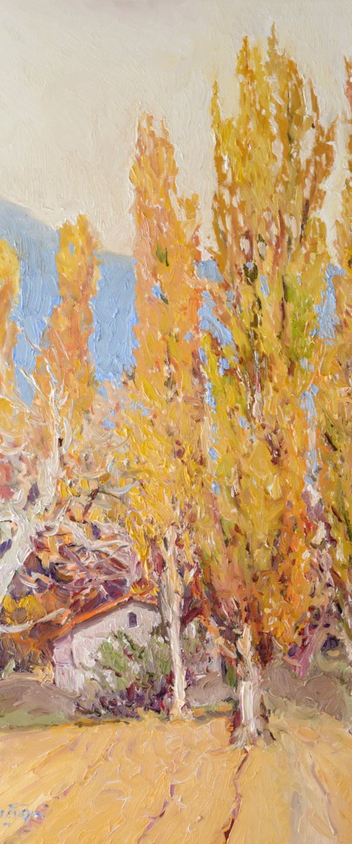 Poplars, Fall by Suren Nersisyan