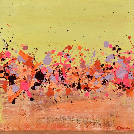 Sunkist Coral 2