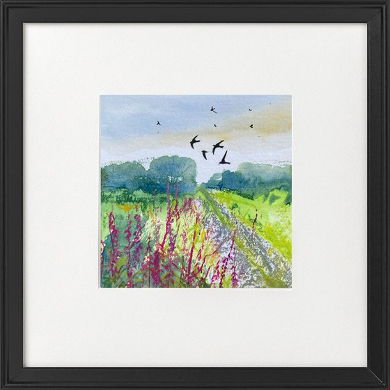 Three swallow watercolours framed