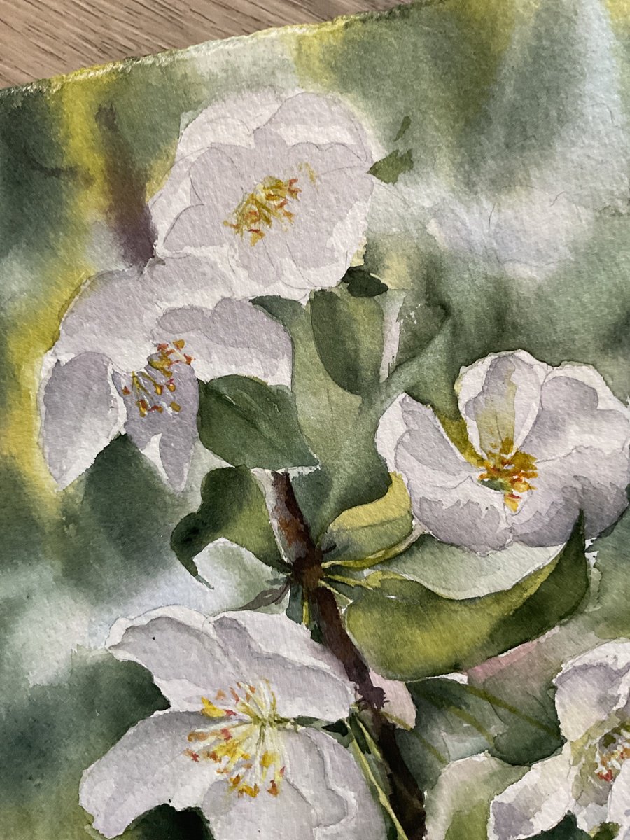 Illustrative Botanical Watercolour By Natalia Butenko, 11 X 15", Apples Blossom, Original Art, Original Artwork