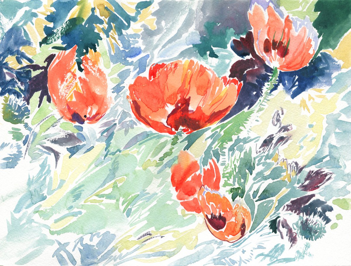 Impressionistic Botanical Watercolour By Daria Galinski, 13 X 9, Poppies. Plein Air Watercolor, Original Artwork