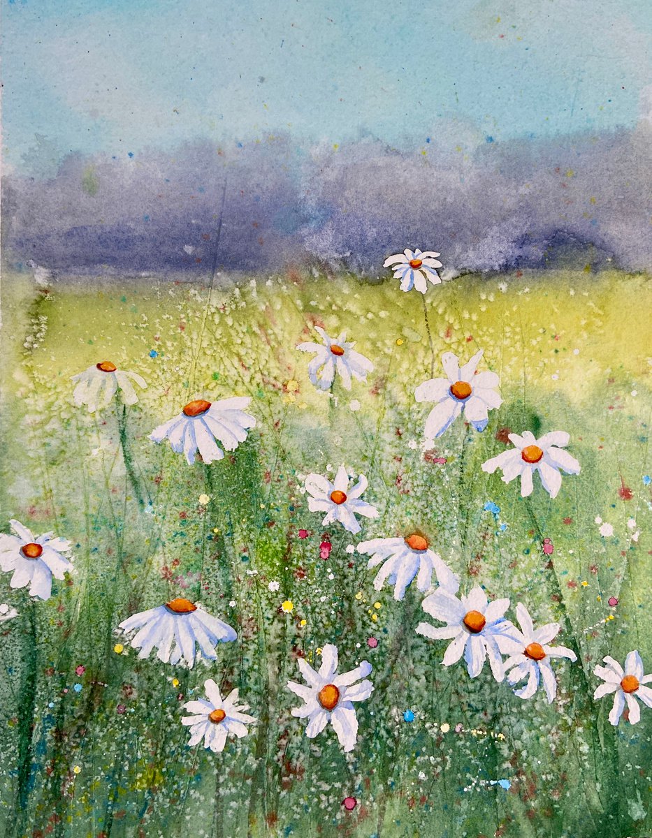 Summer meadow by Heather Matthews