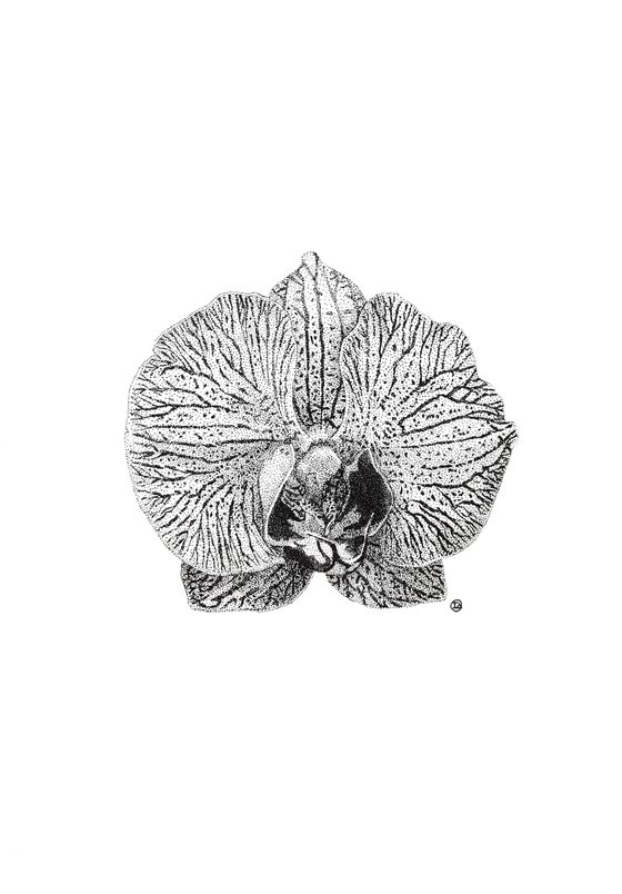 ORCHID II BLOOM - small floral black and white ink realistic artwork