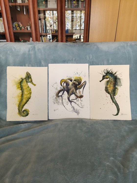 Ocean Creatures - Triptych