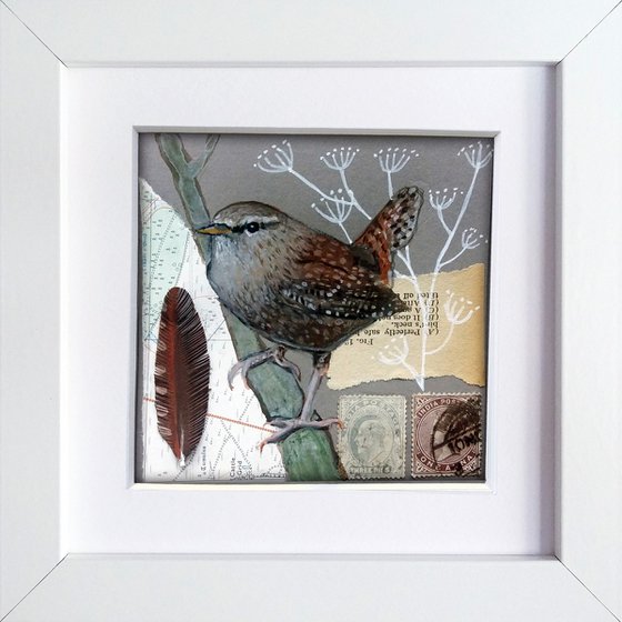 The Wren feather  (framed and ready to hang)