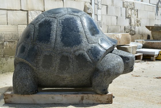 "Giant Tortoise"