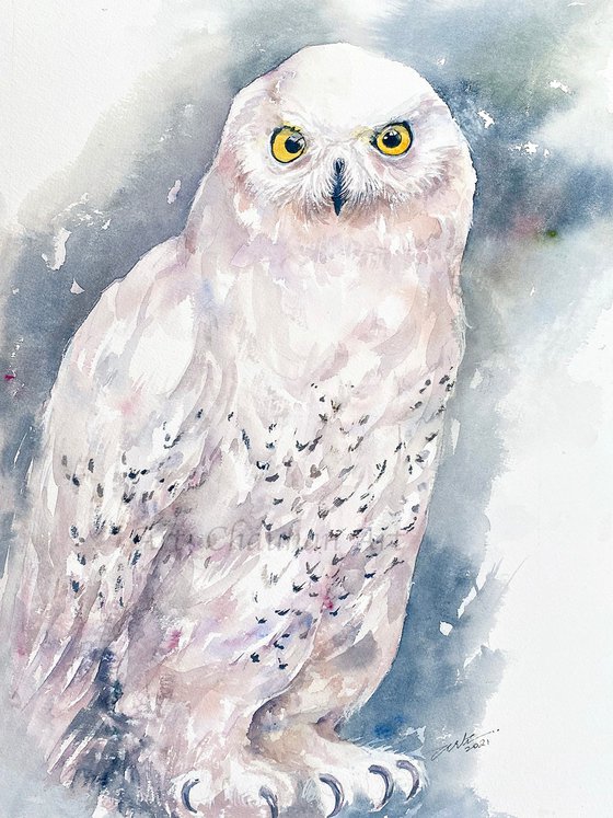 Snow Owl White Vida