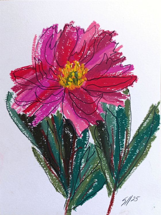 Peony flower