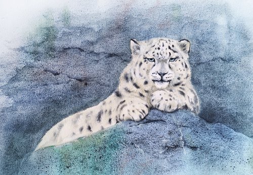 Snow leopard - King of the Mountain by Olga Beliaeva Watercolour