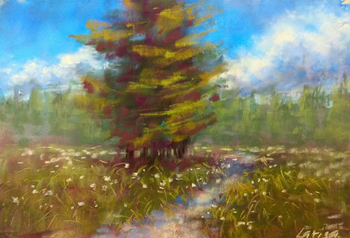 Flower Meadow | Original pastel painting by Larisa Carli