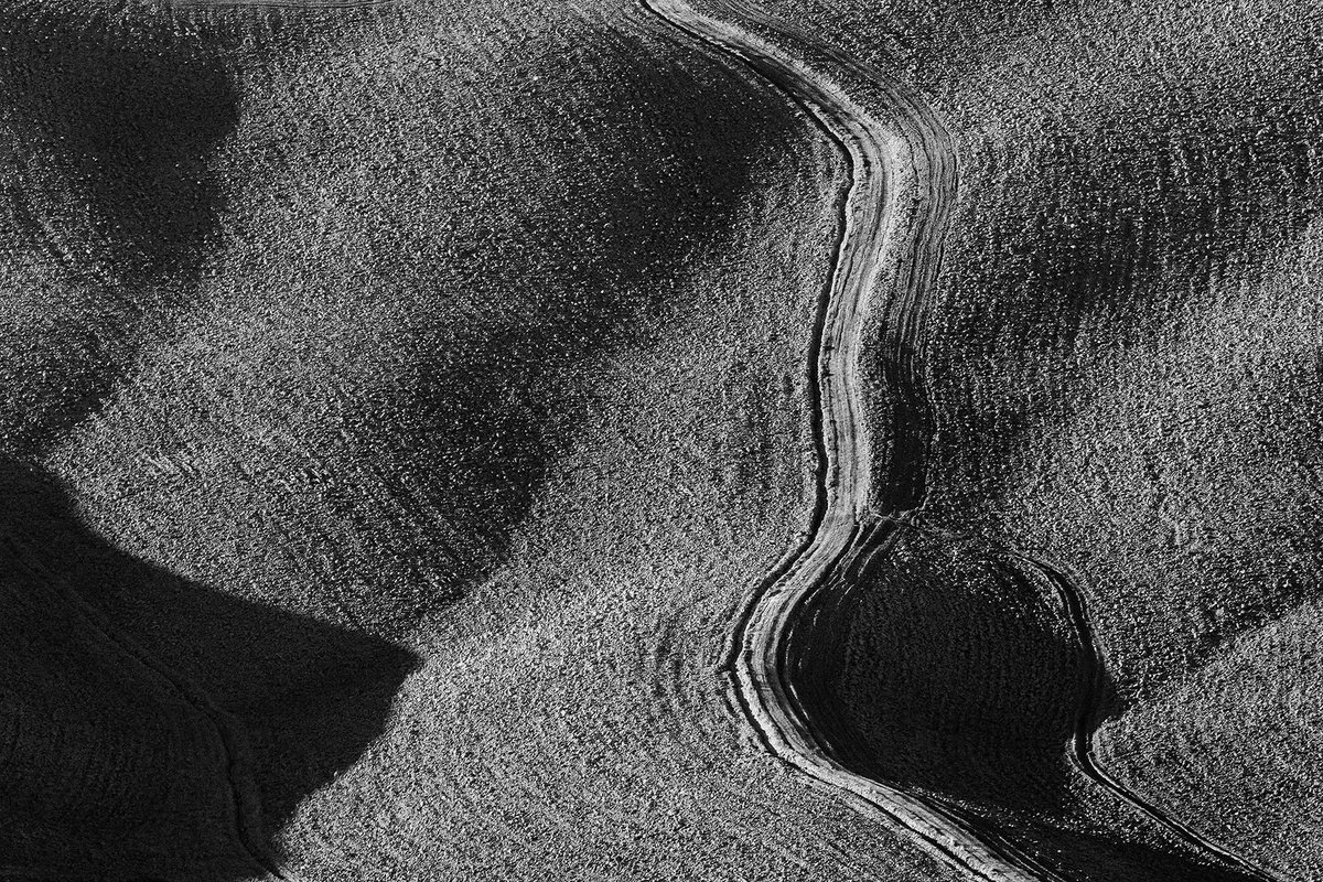 Organic Landscape Photograph By Peter Zelei, 39 X 28", Abstract Earthlines, Original Artwork