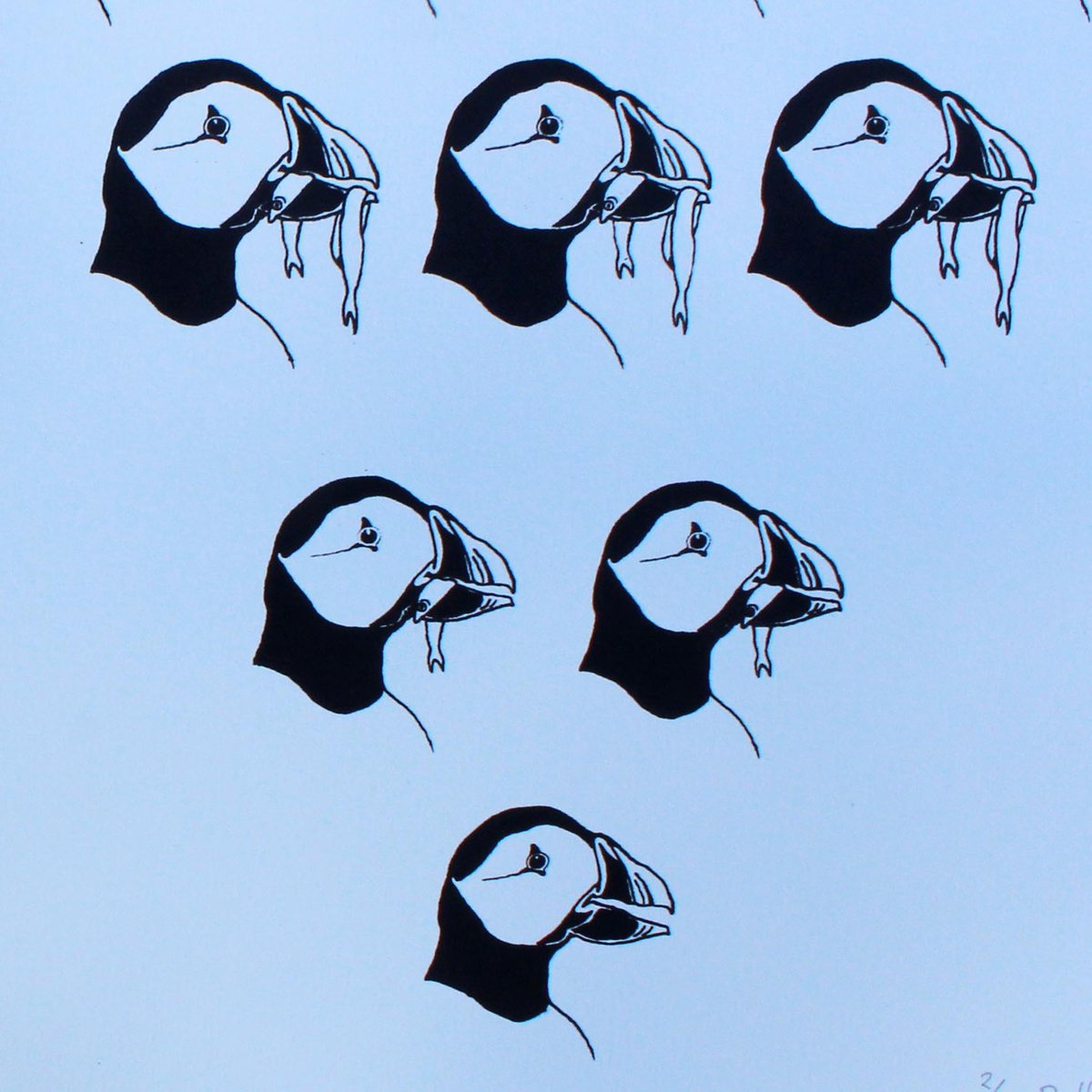 Puffins in Crisis by Carole King