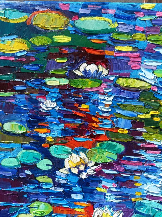 Water lilies reflections 3