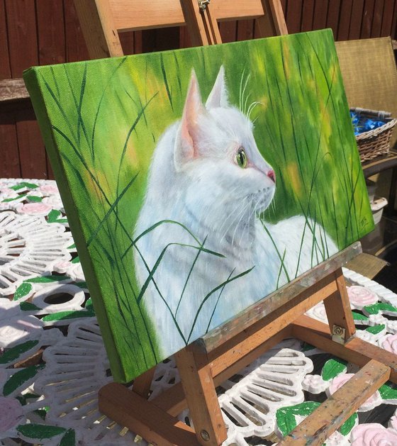 white Cat for a walk. Realistic Portrait a lovely Cat