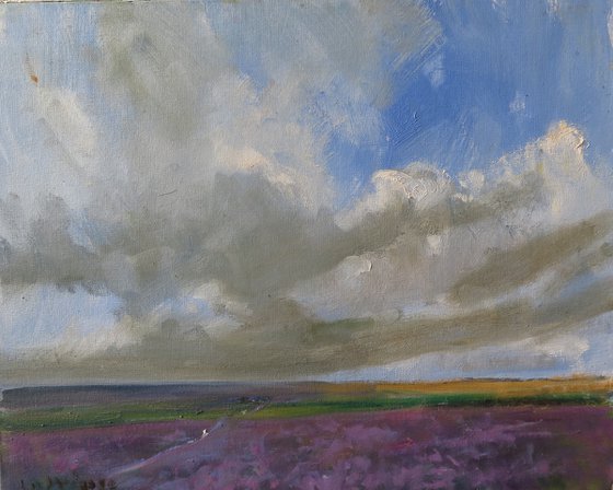 Bransdale Heather