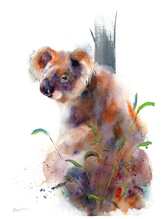 Koala