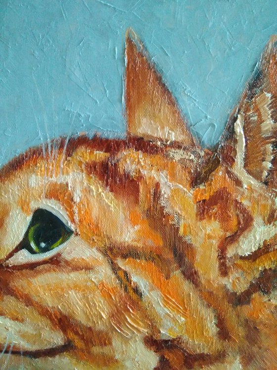 Red cat, 40x40 cm, ready to hang.