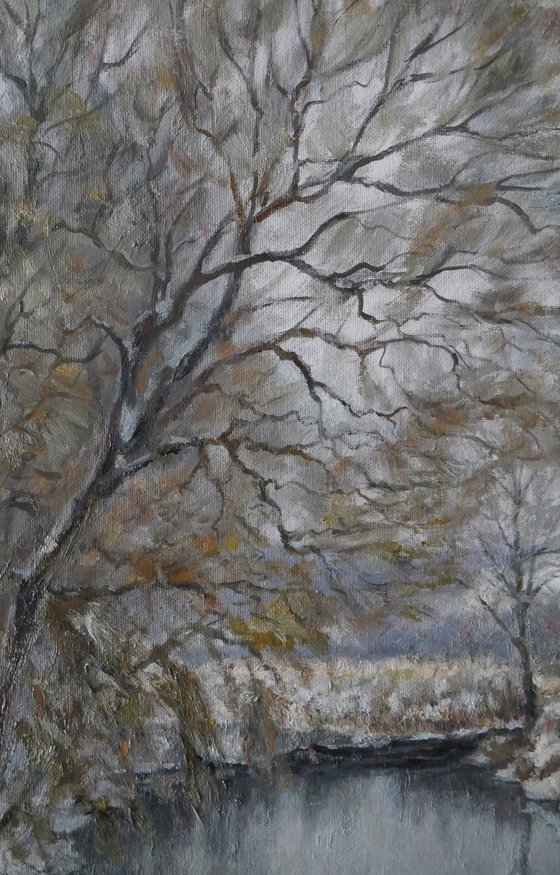 The Cold River