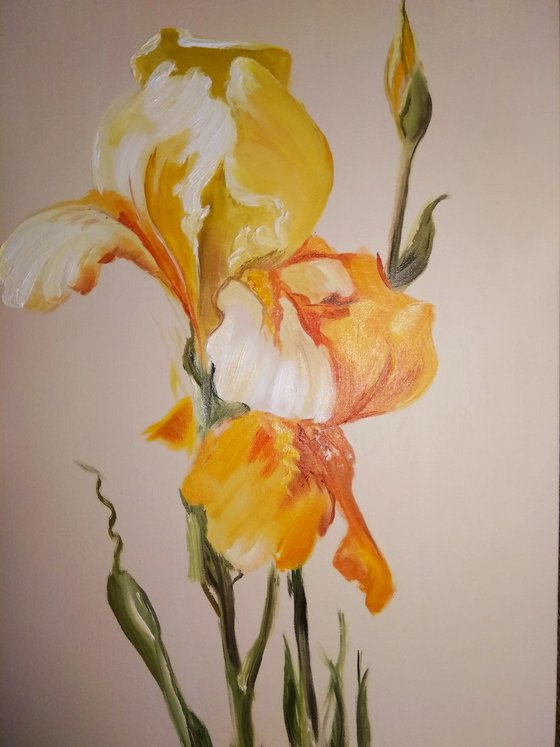 Yellow Irises