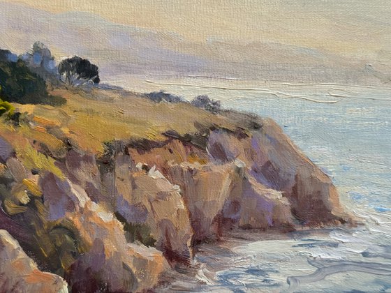 Coastal View From the Bluffs