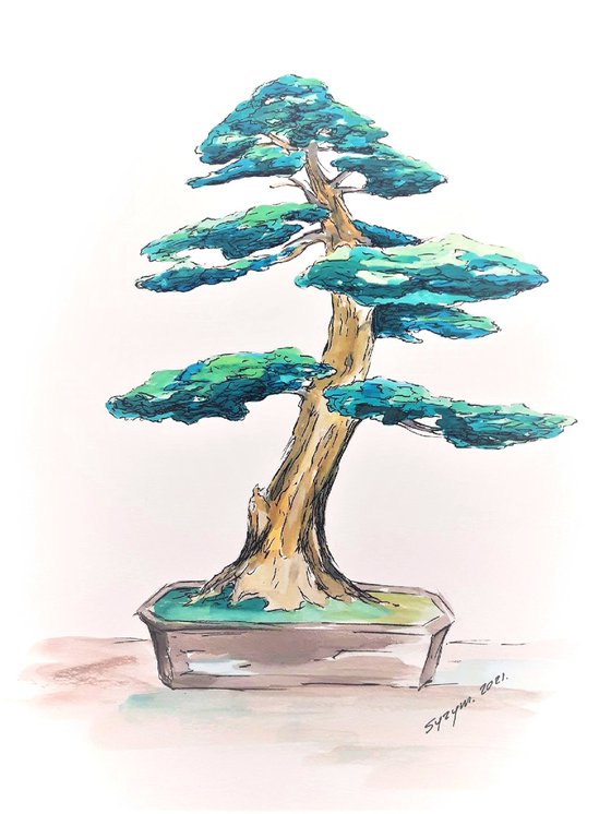 BONSAI IV