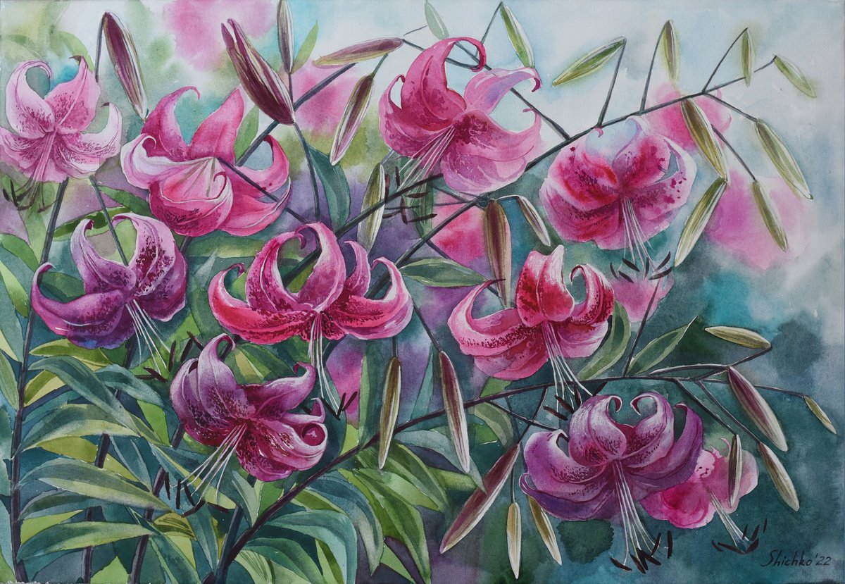 Pink Lilies by Elena Shichko