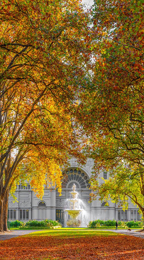 Melbourne Autumn by Nick Psomiadis