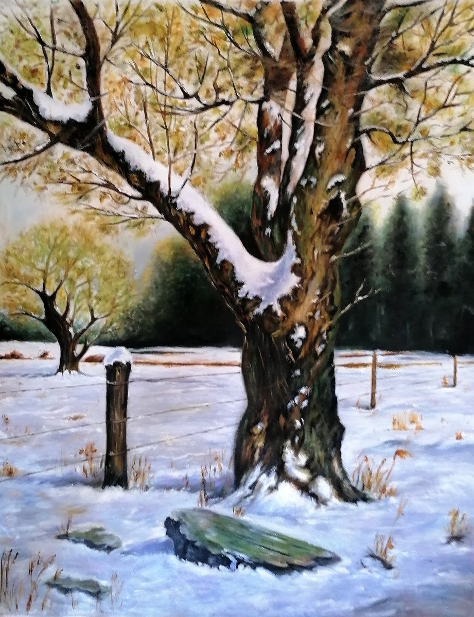 Photorealistic Landscape Oil Painting By Nelaart, 27 X 34", Winter Landscape, Original Artwork