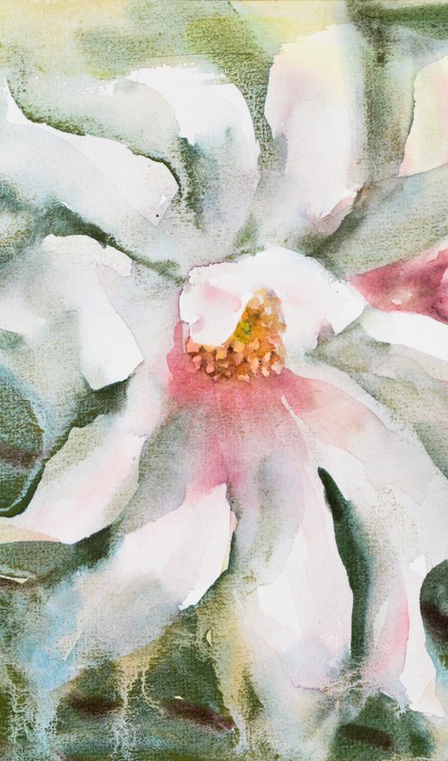 Magnolia by Lida Duchnewitsch