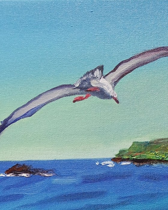 'ALBATROSS IN CORNWALL' - Oil Painting on Canvas
