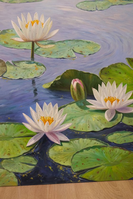 Water Lilies