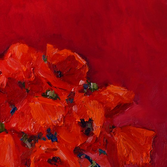 Red Poppies