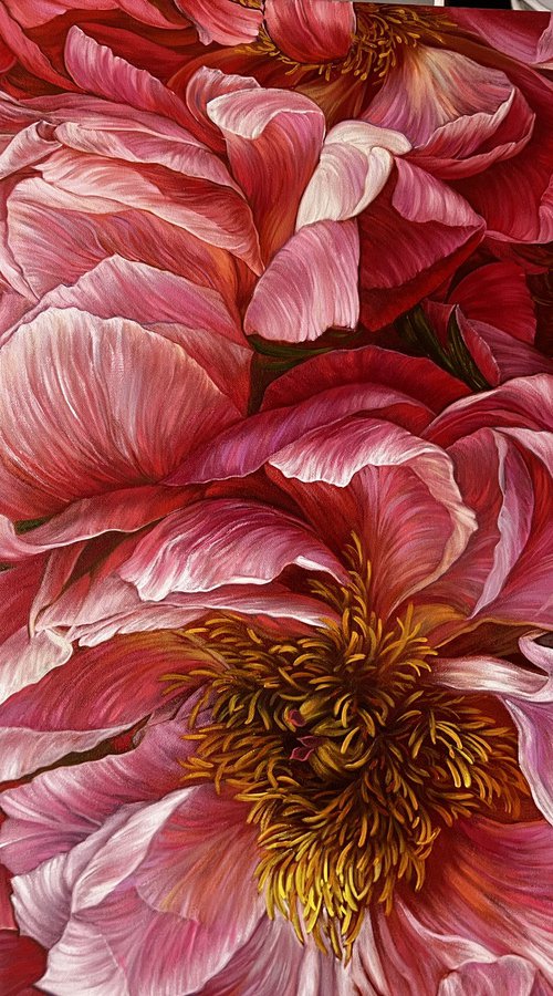 Composition of red peonies by Elena