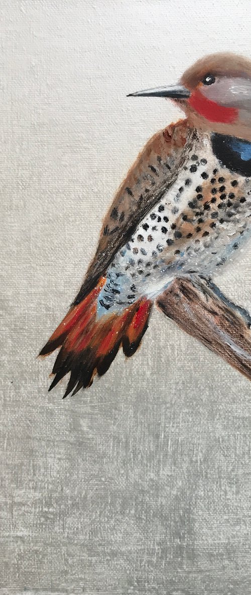 The Flicker Bird ~ on silver by Laure Bury