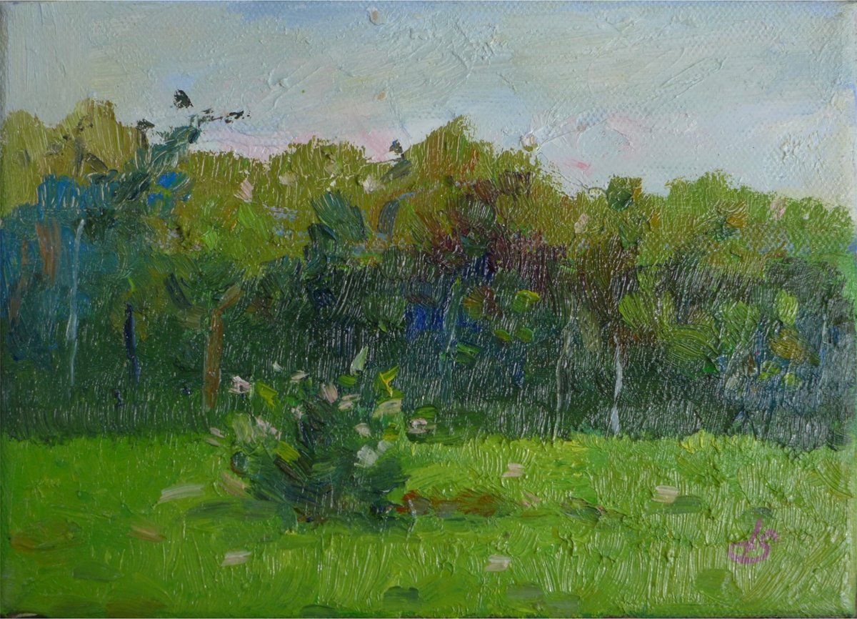 The Lawn By Irina Smirnova-Seymour, 8 X 6, Artwork For Sale On Artfinder