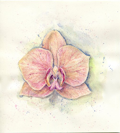 Watercolor orchid flower by Liliya Rodnikova