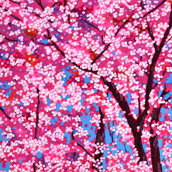 Cherry Blossom #11