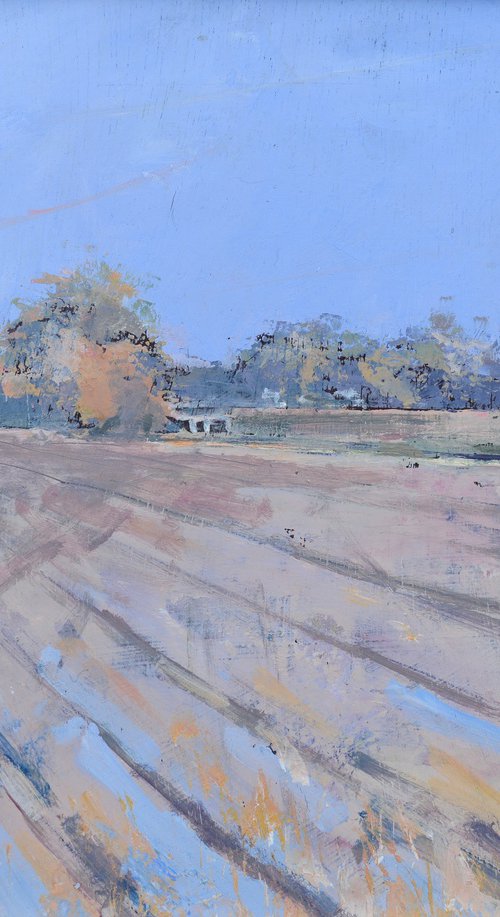 Field near Buxton, Norfolk. by Tom Cringle