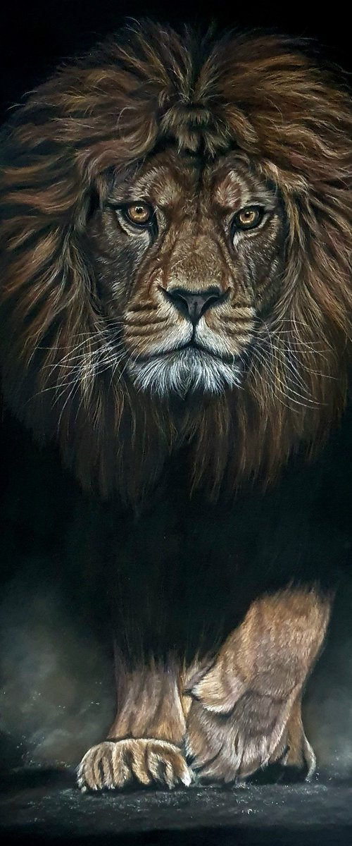 Lion portrait "Survivor" by Silvia Frei